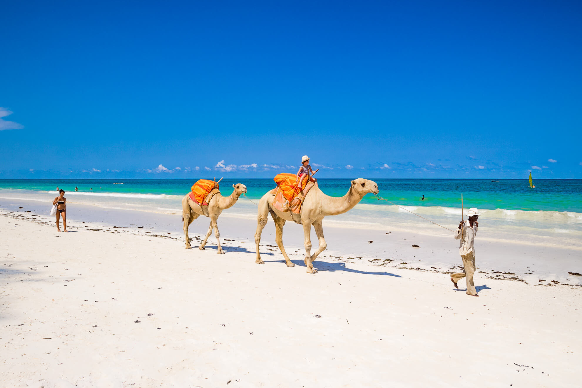 Diani Beach camel riding