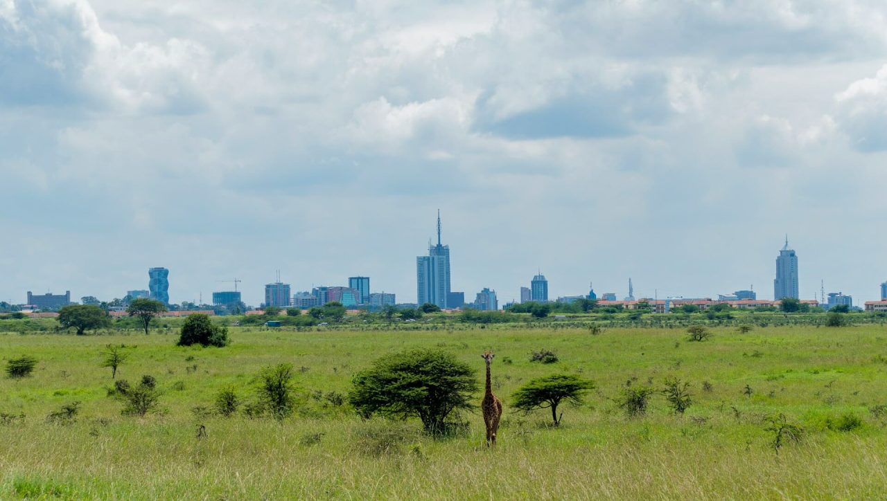 Nairobi national park day trip