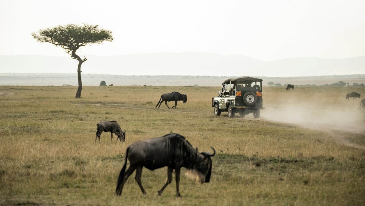 Masai Mara Amboseli safari