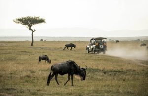 5 Days Maasai Mara Amboseli Safari