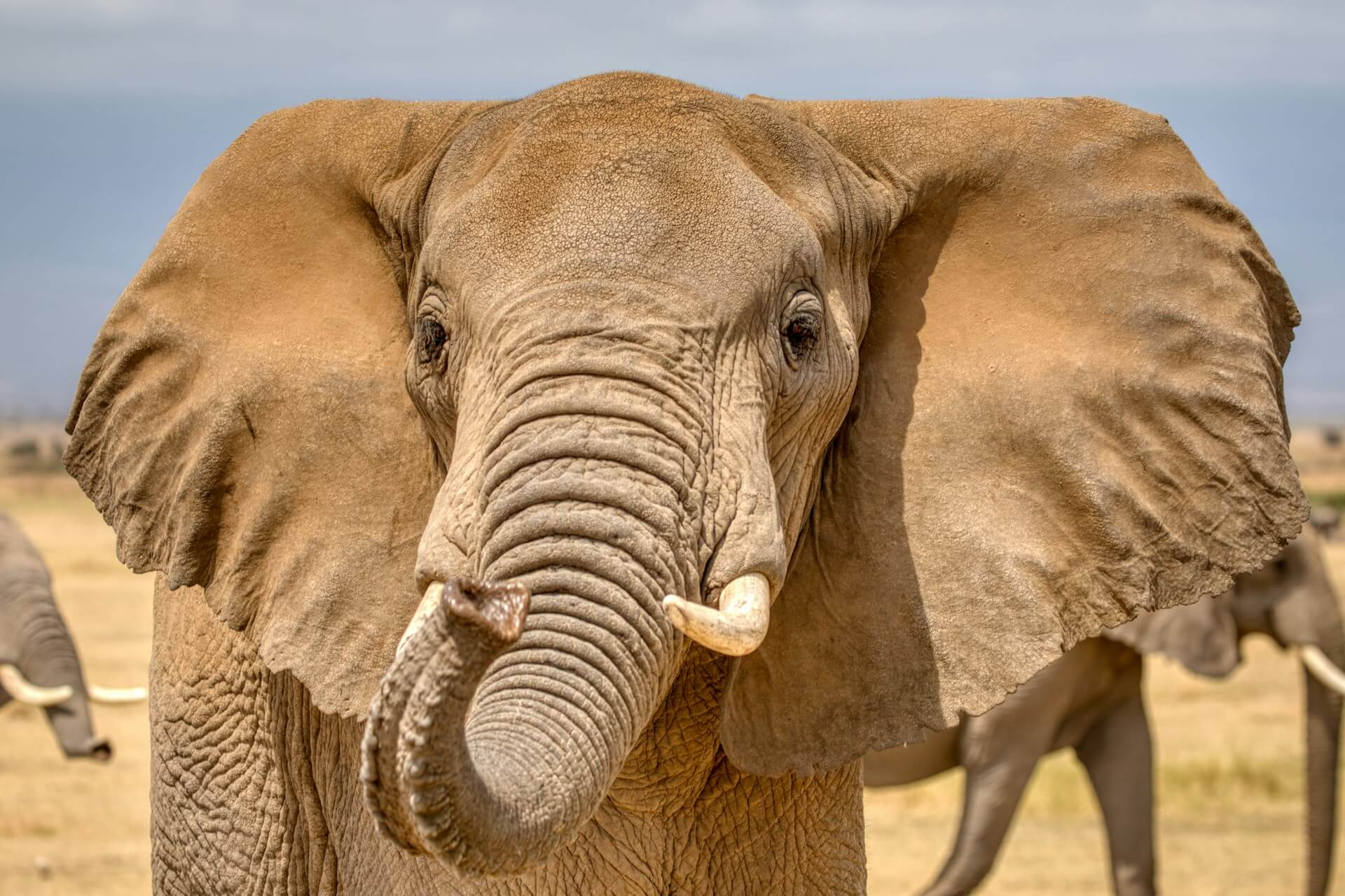 Amboseli National Park