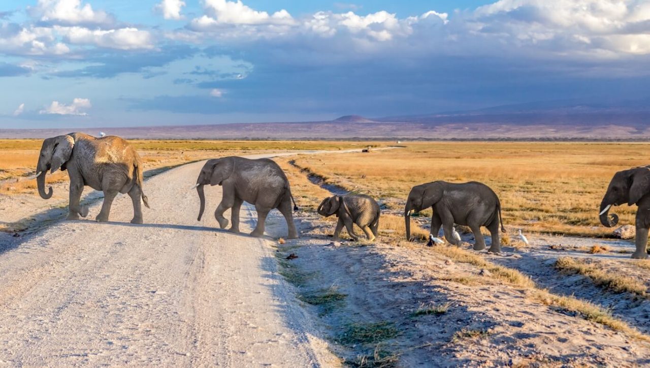 Best National Parks in Kenya