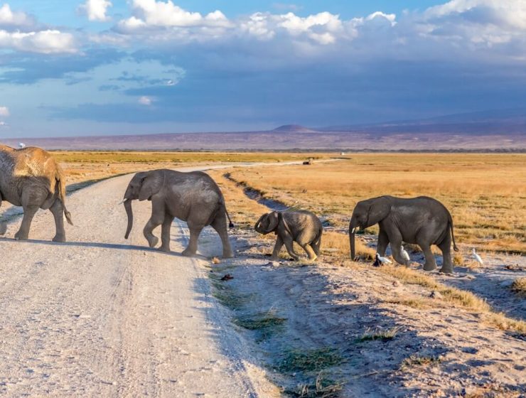 Best National Parks in Kenya