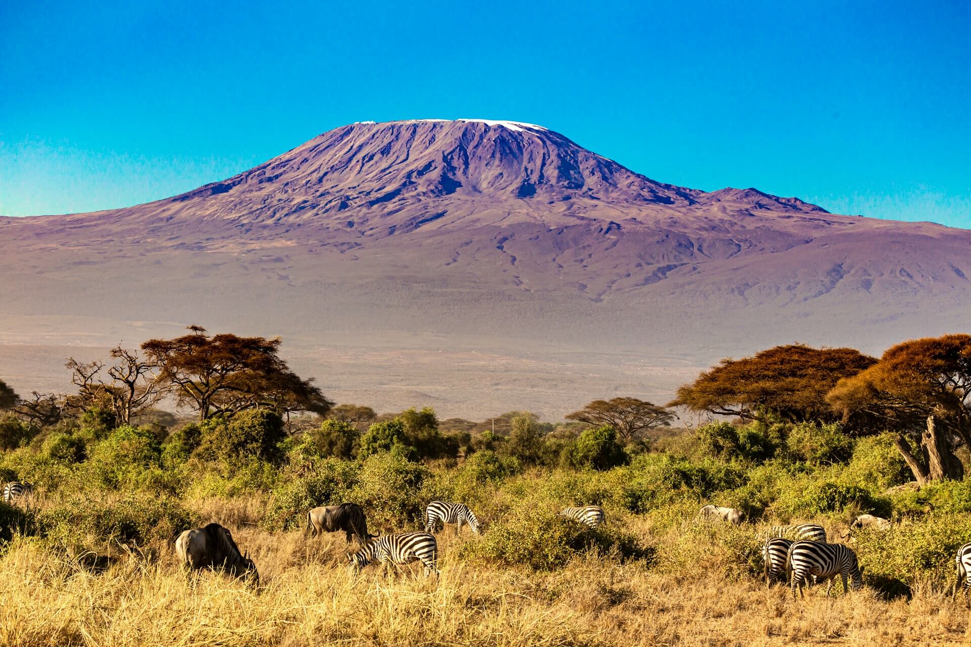 Amboseli