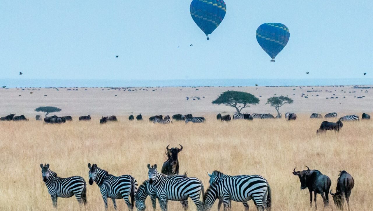 Best time to visit Kenya safari