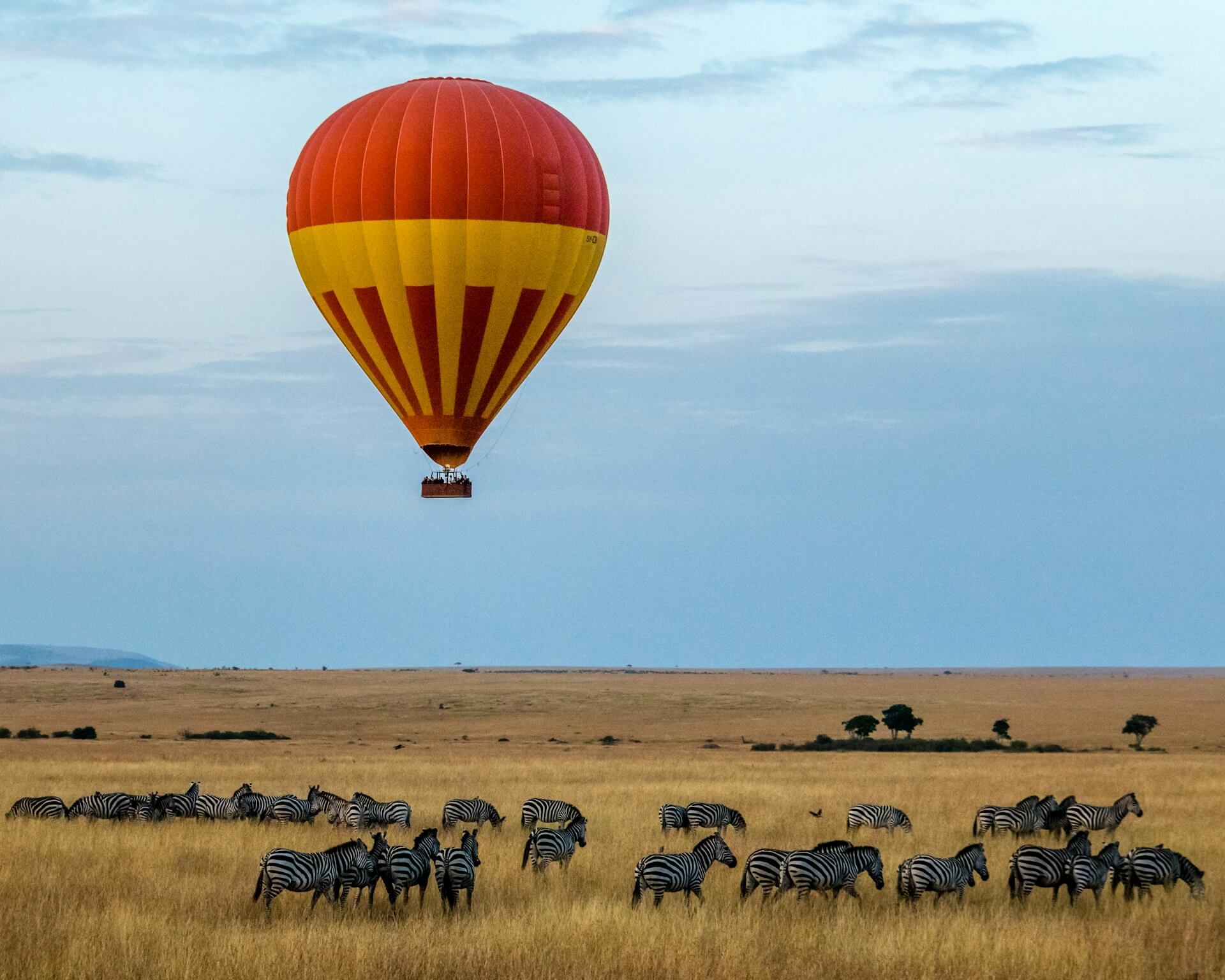 3 Days Maasai Mara Safari