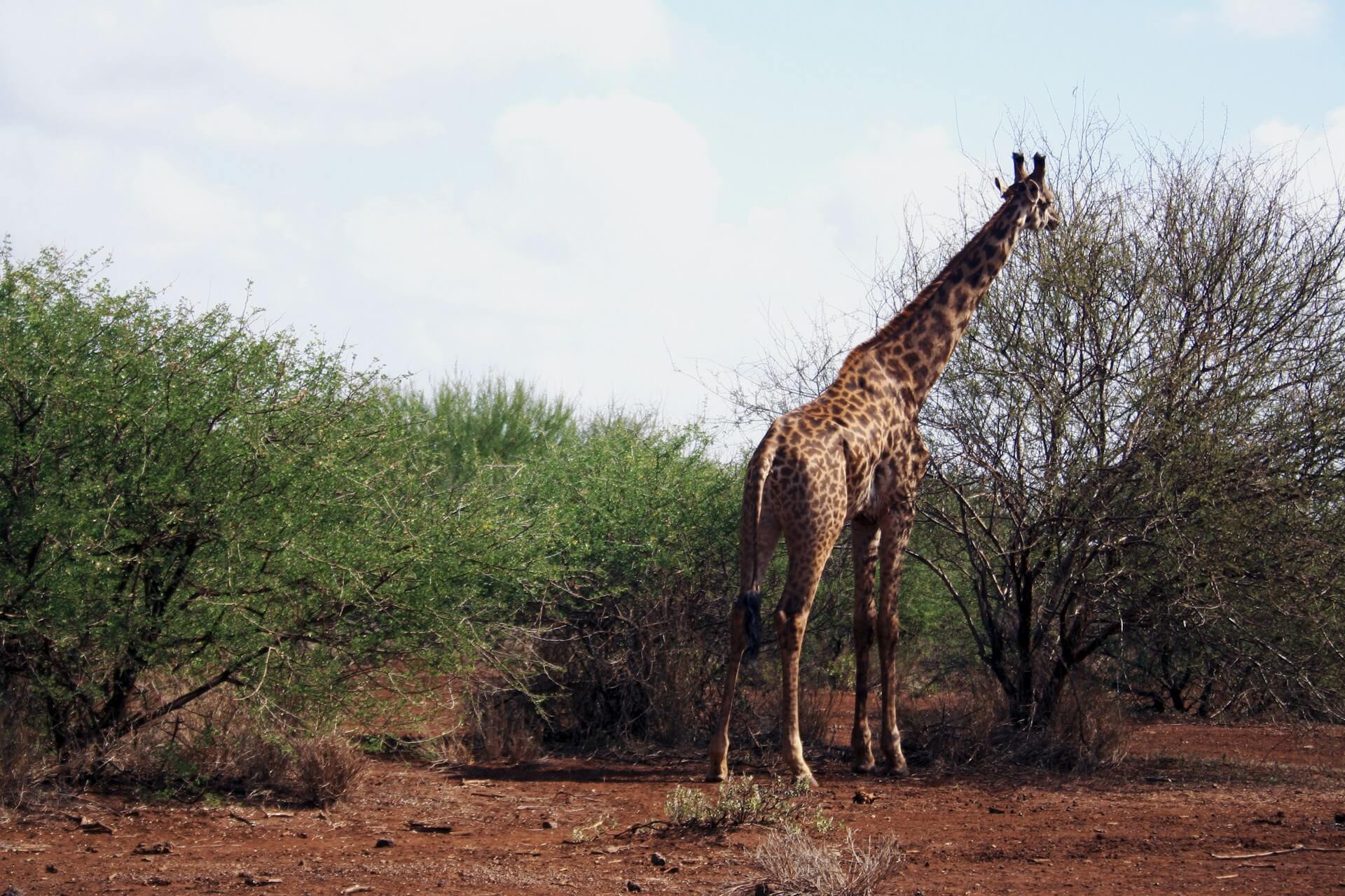 Kenya