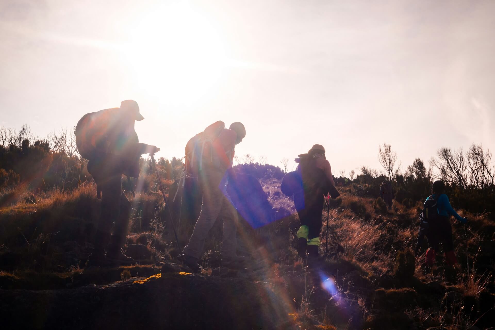 Mount Kenya day hike