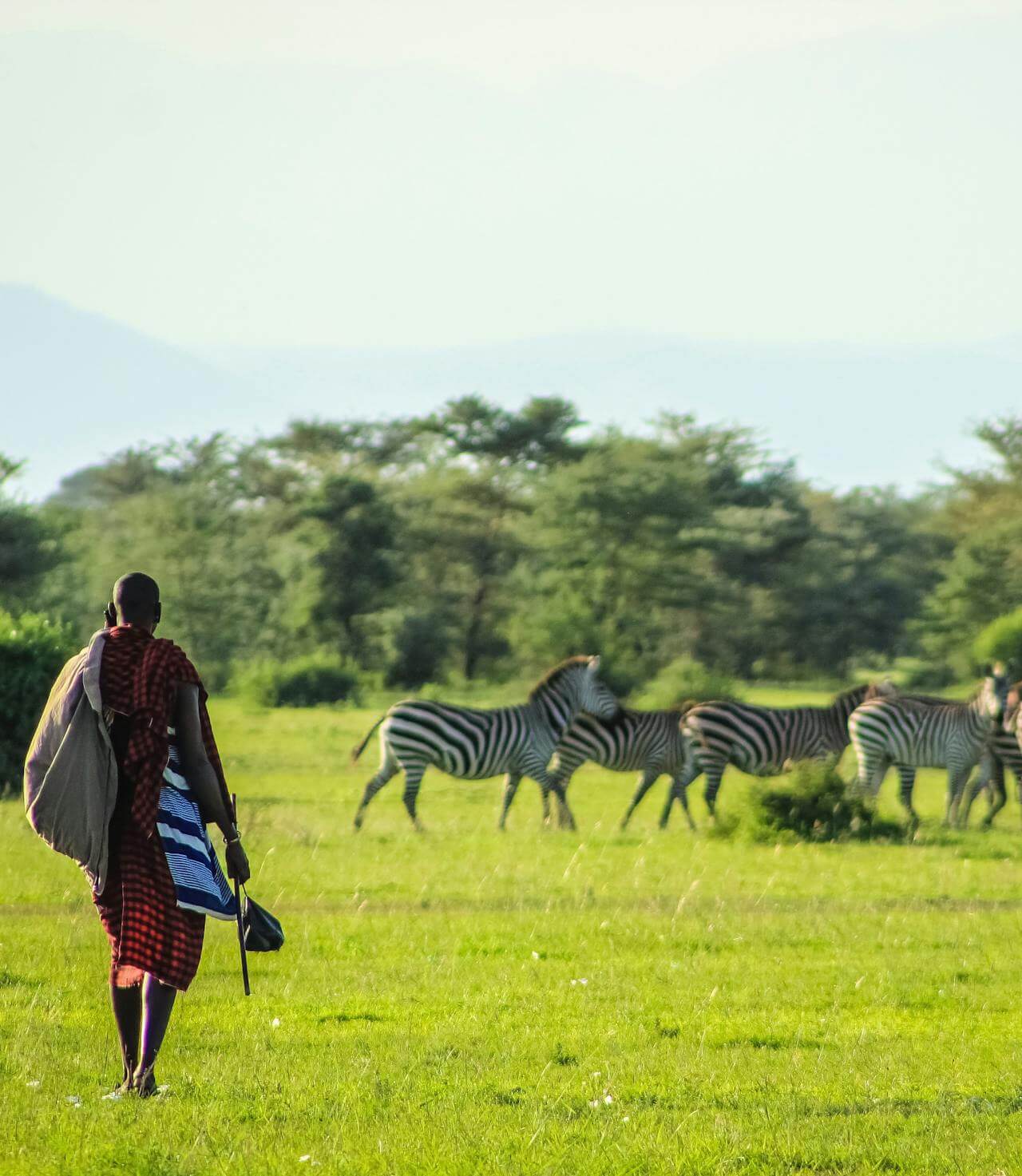 Maasai safari