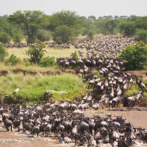 3 Days Serengeti Safari